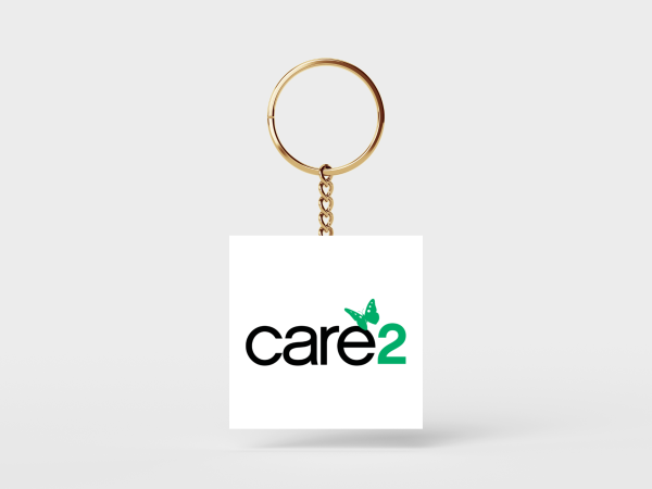 Care2 NFC Keychain: Tap into a World of Possibilities - Image 2